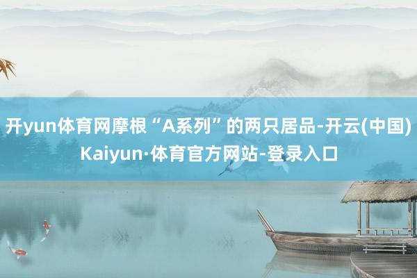 开yun体育网摩根“A系列”的两只居品-开云(中国)Kaiyun·体育官方网站-登录入口